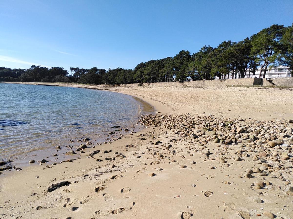 T2 Ito A 100m De La Saint-Philibert (Morbihan)